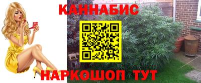 индика Бузулук