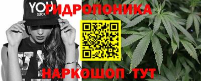 дмт Будённовск