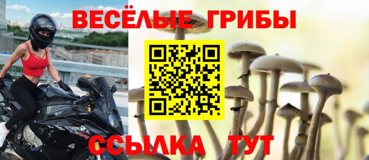Псилоцибиновые грибы MAGIC MUSHROOMS Ачинск